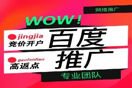 某某sem推广公司实战案例：精准投放提升转化率